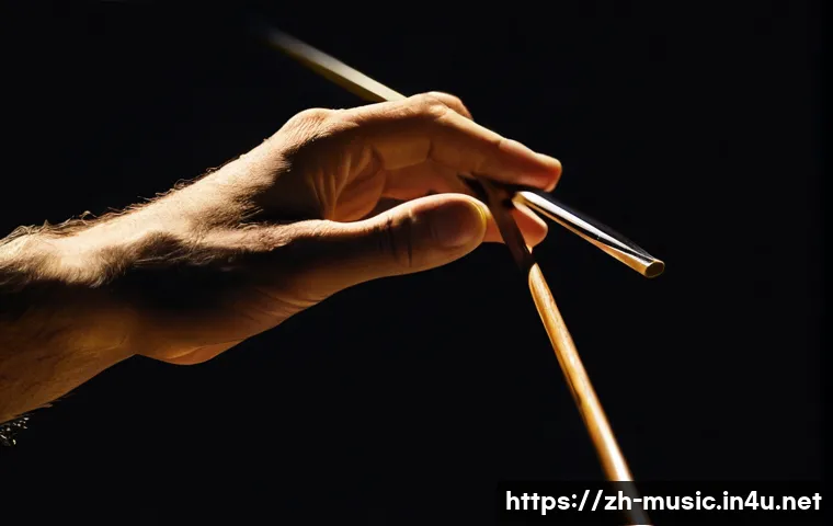 오케스트라 지휘 이론 관련 이미지 1